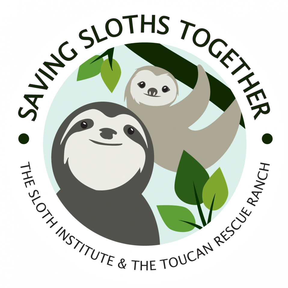 All Sloths a Swimming – Toucan Rescue Ranch