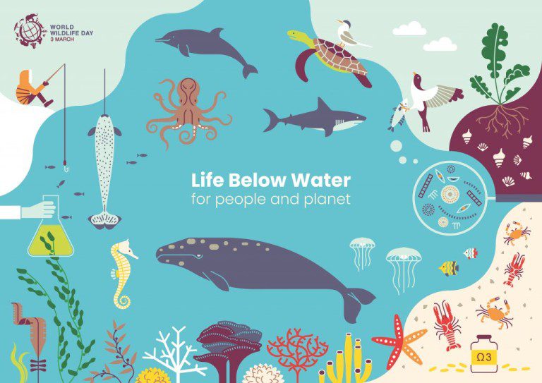 National Wildlife Day