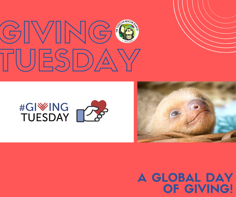 Giving Tuesday - A Global Day of Giving