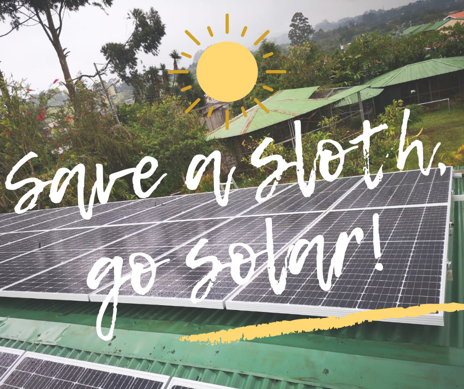 Save a sloth go solar!