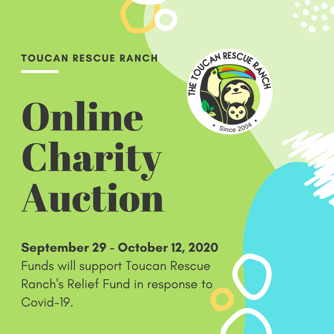 Online Charity Auction