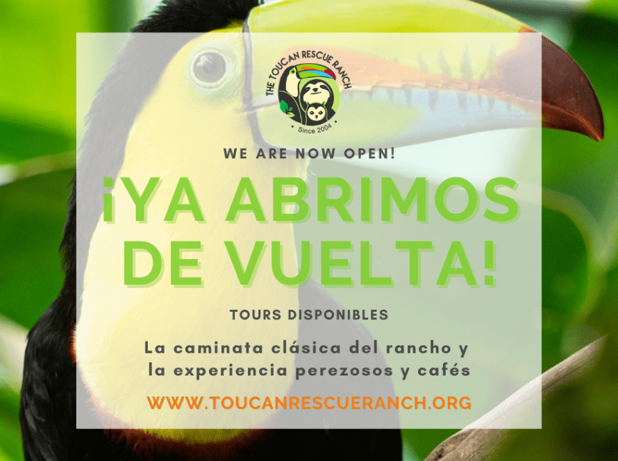 We are now open!