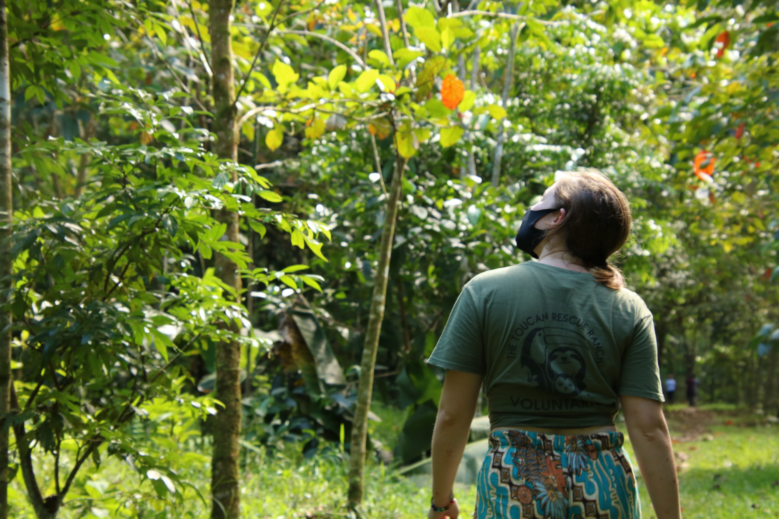 Release Site Toucan Rescue Ranch