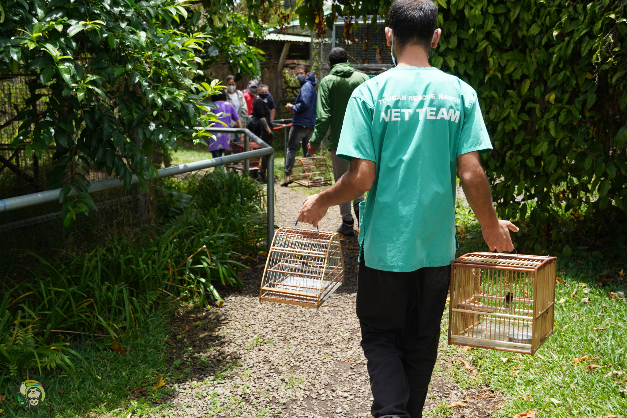 behind-the-cage-illegal-bird-trade-in-costa-rica-toucan-rescue-ranch