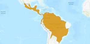 Tayra Map Range