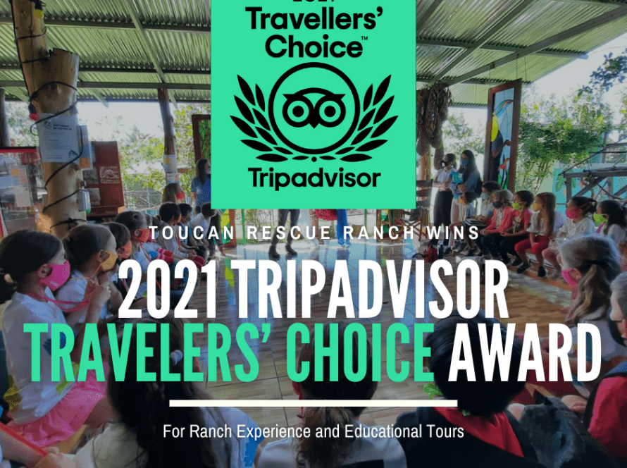 2021 Tripadvisor Travelers Choice Award Toucan Rescue Ranch Costa Rica