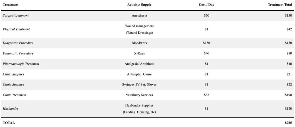 Budget Breakdown