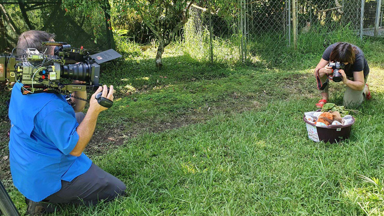 Toucan Rescue Ranch is Featured on 60 Minutes! - Toucan Rescue Ranch