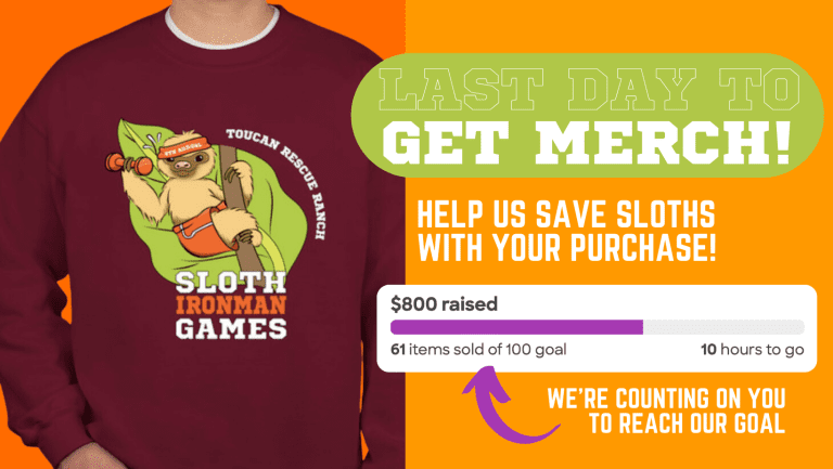 Get Merch!