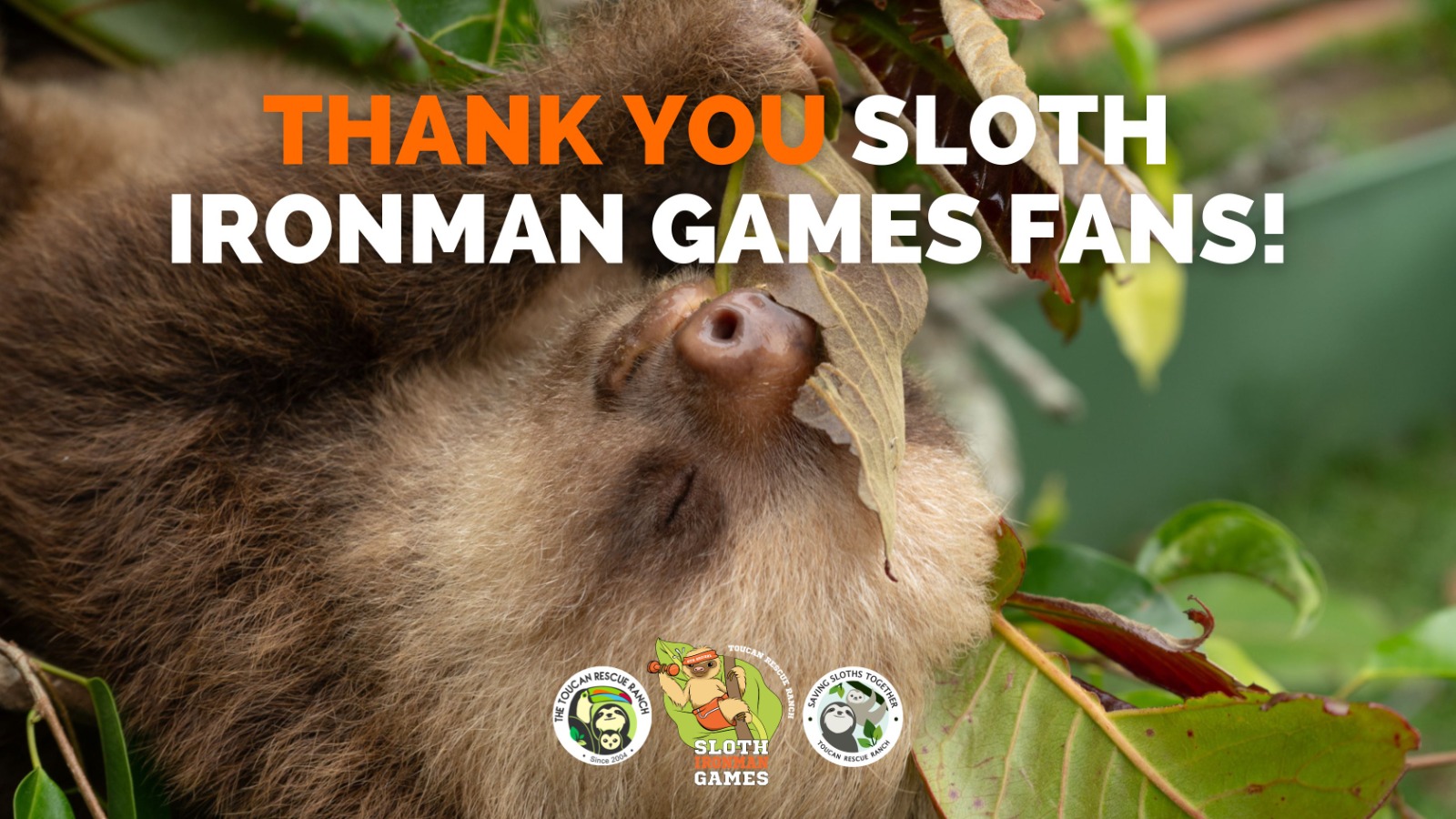 Thank you sloth ironman games fans!
