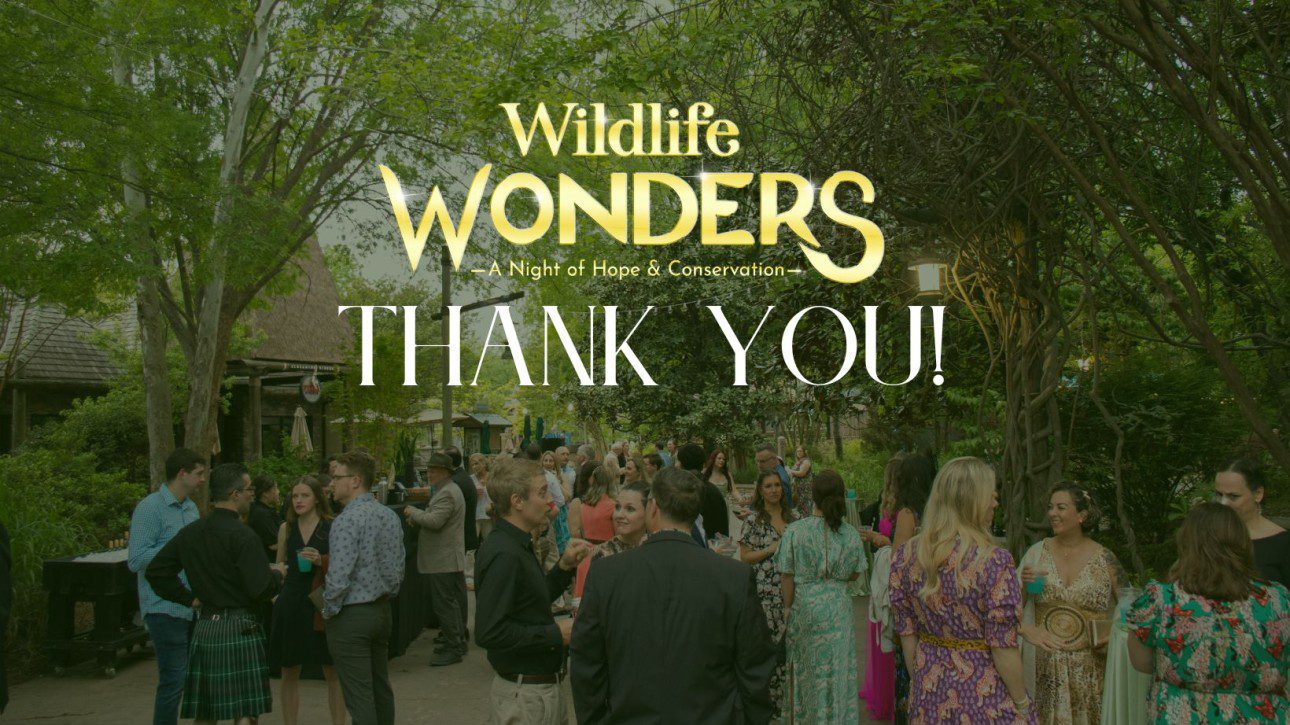 Wildlife Wonders Thank You!