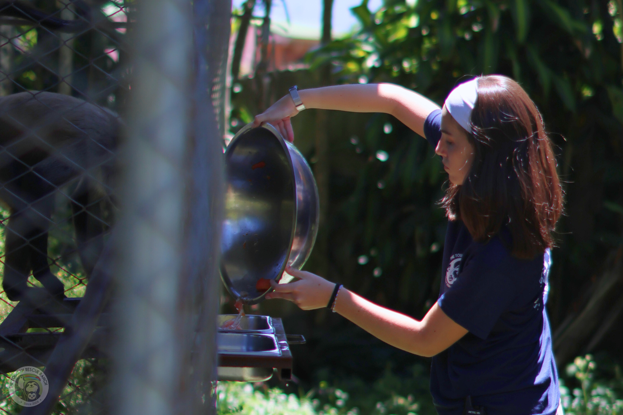 Animal Husbandry & Zookeeping Internship