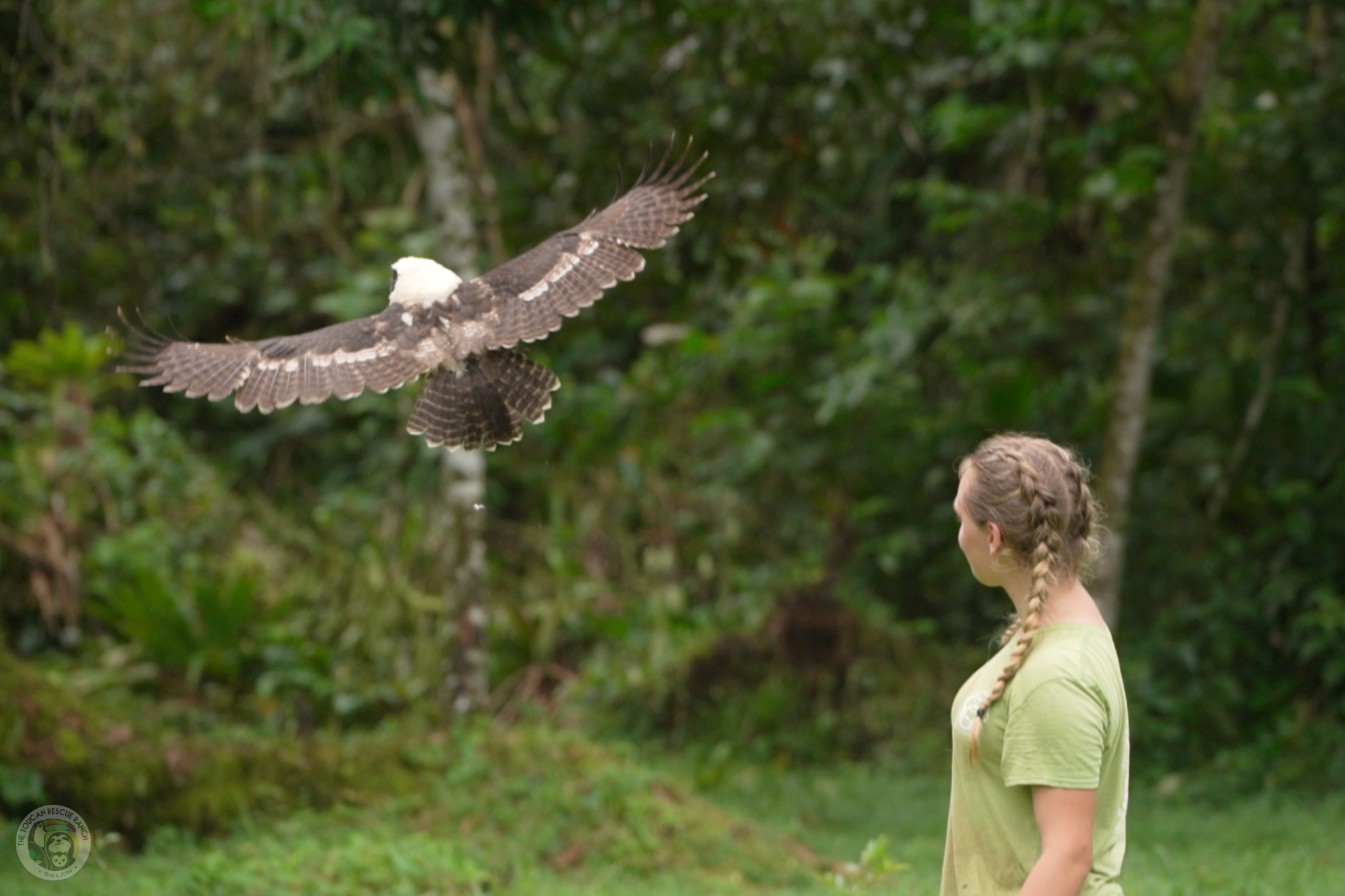 Release Site Wildlife Care Internship