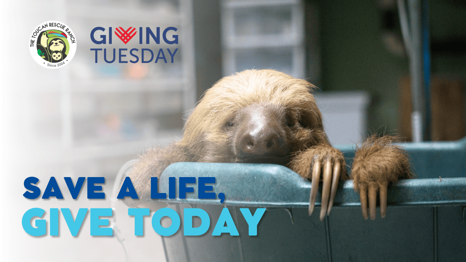 SAVEALIFE #GIVINGTUESDAY