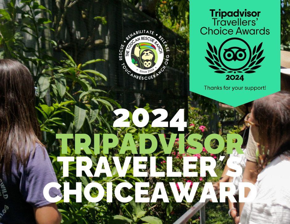 2024 Tripadvisor Travelers's Choice Award