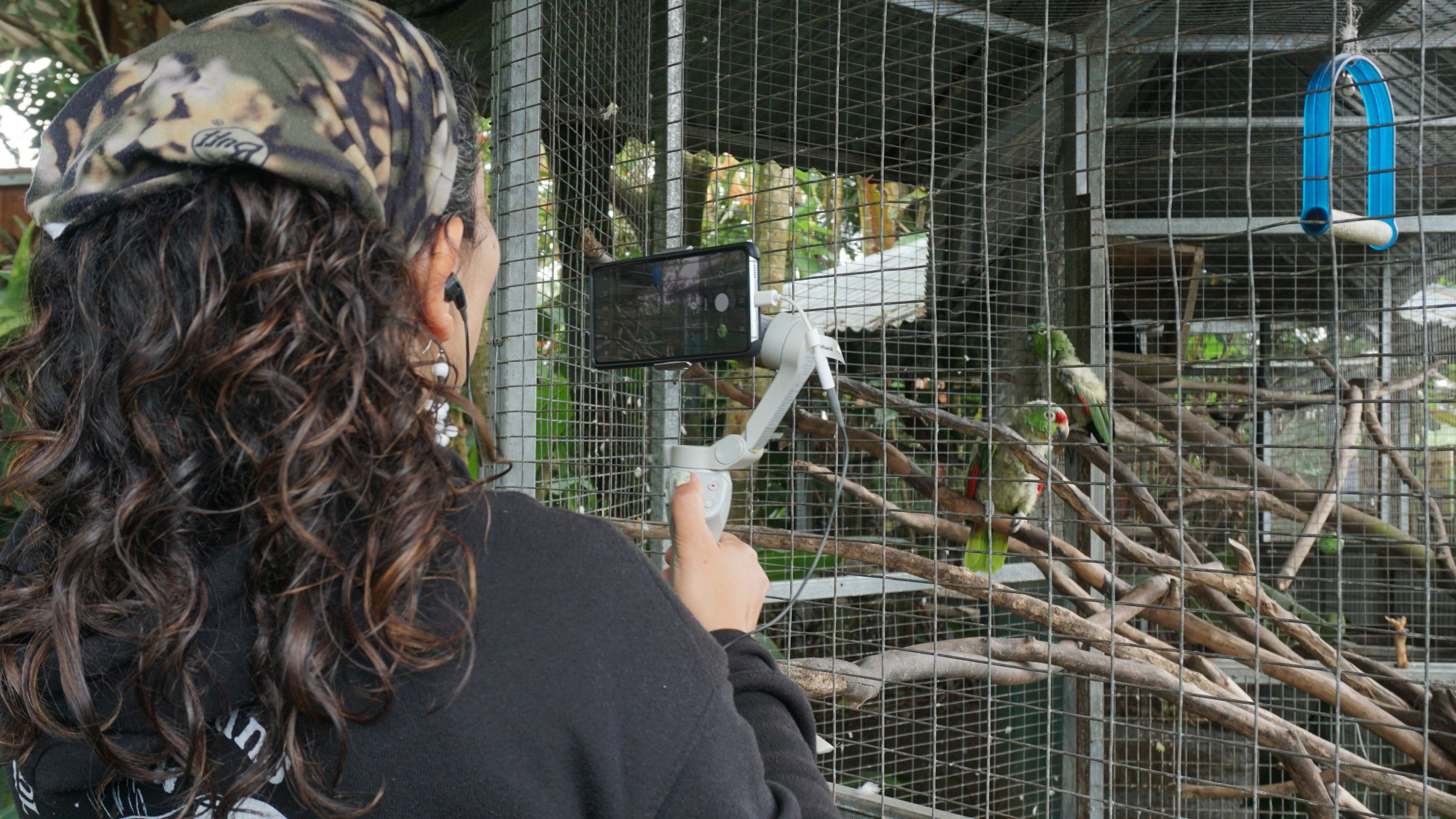 Encounter Rainforest Wildlife at Toucan Rescue Ranch