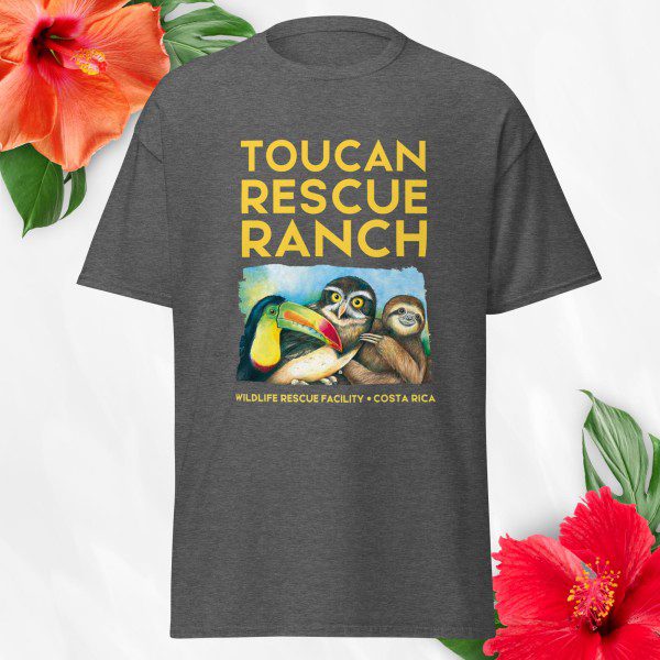 Toucan Resce Ranch T-Shirt | Unisex classic tee - Image 4