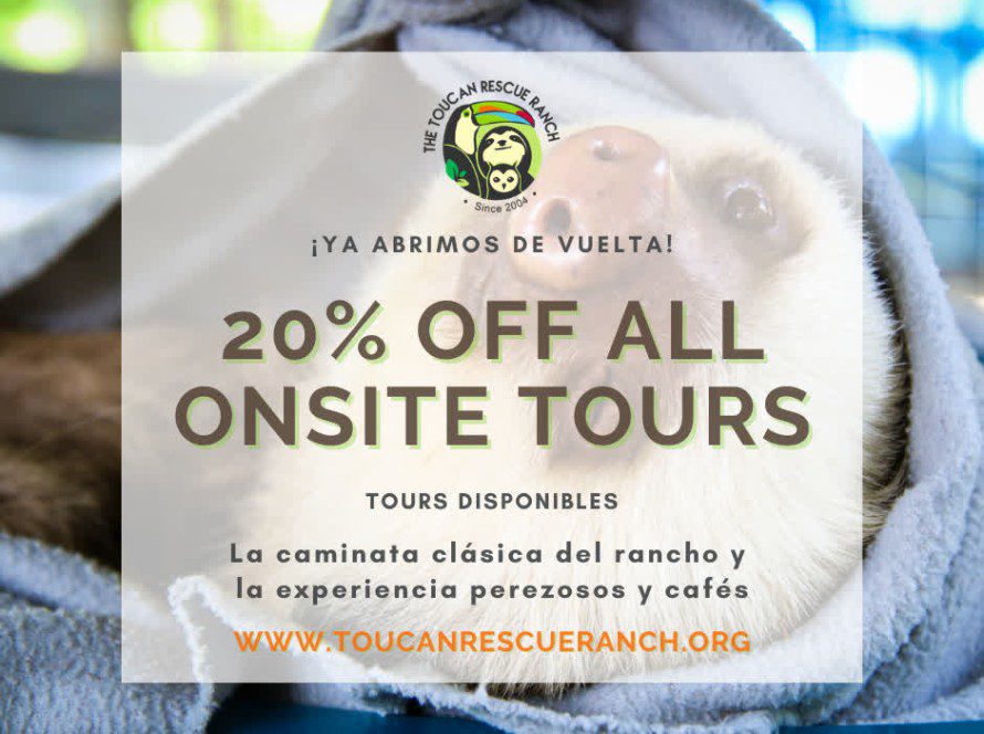 20% off all onsite tours