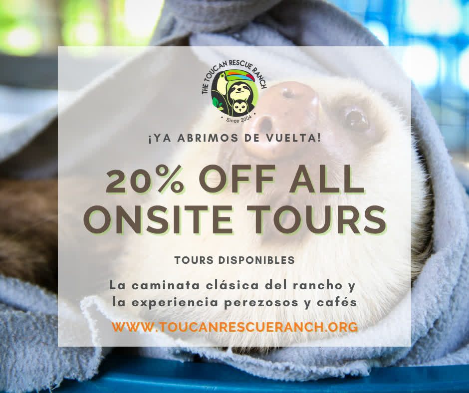 20% off all onsite tours