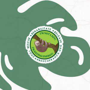 TRR I’m Not Lazy! | Supporting Sloths, Saving Lives | Bubble-free stickers