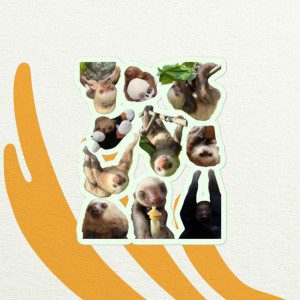 TRR Sloths | Bubble-free stickers
