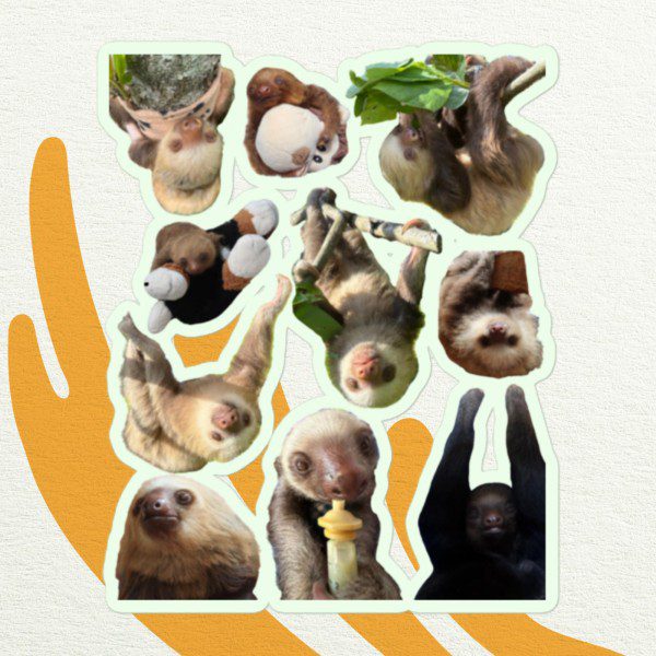 TRR Sloths | Bubble-free stickers - Image 3