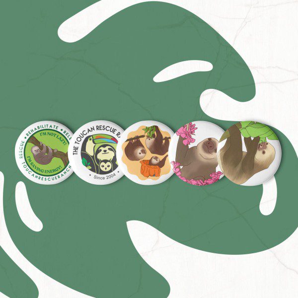Supporting Sloths, Saving Lives | Set of pin buttons - Image 3