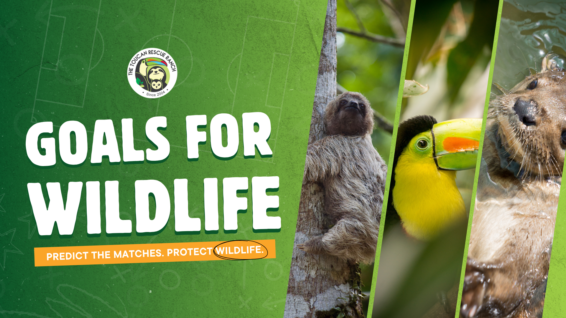 Every Goal Counts for Wildlife!