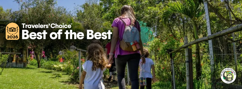 Toucan Rescue Ranch Wins Tripadvisor’s® Travelers’ Choice® Awards Best of the Best for 2026!